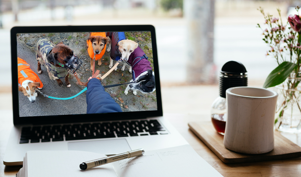 Natürlich Intensiv-Programm