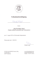 Hundeverhalten beobachten 08/2018