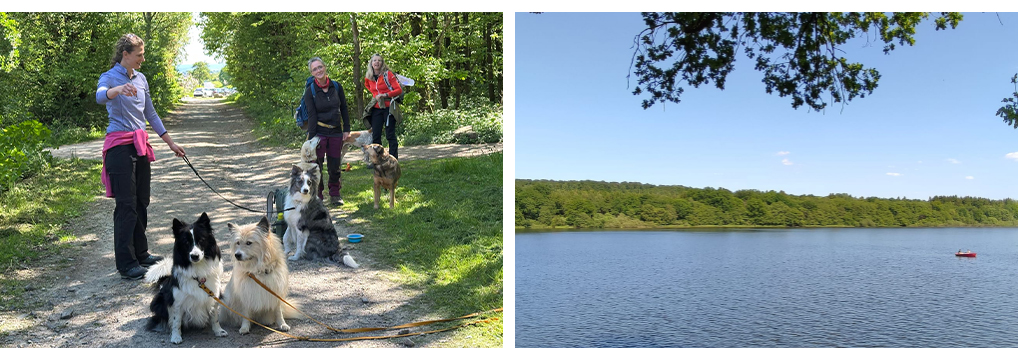 TIKUNA Coaching & Camping