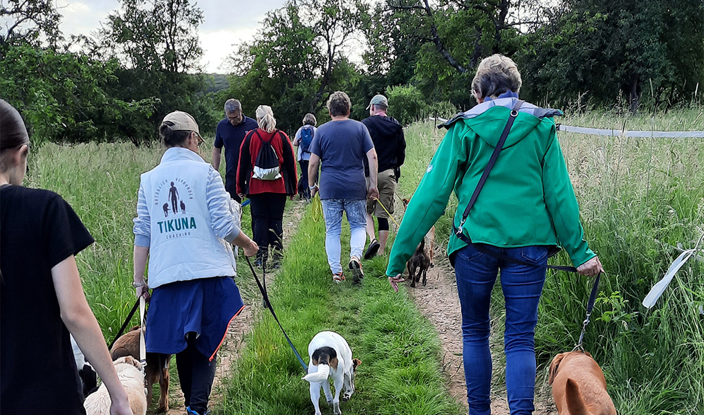 TIKUNA Gruppenspaziergang