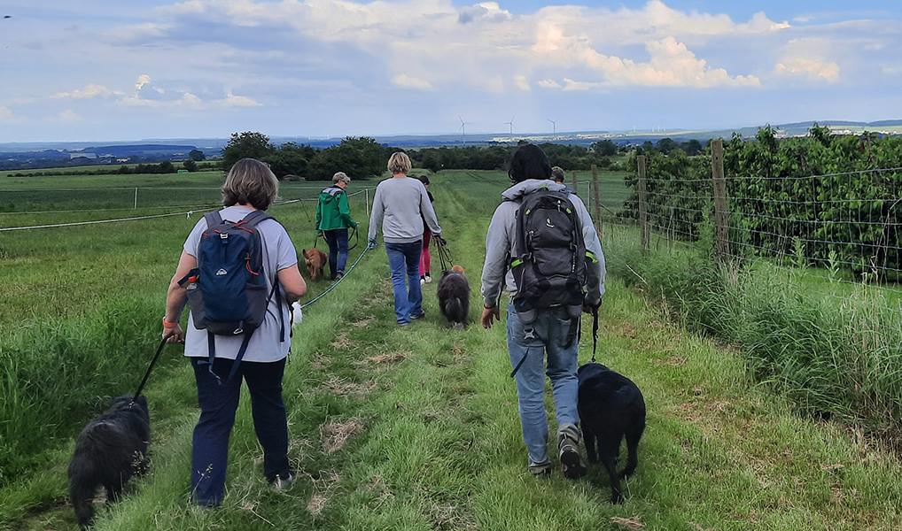 Workshop wandern