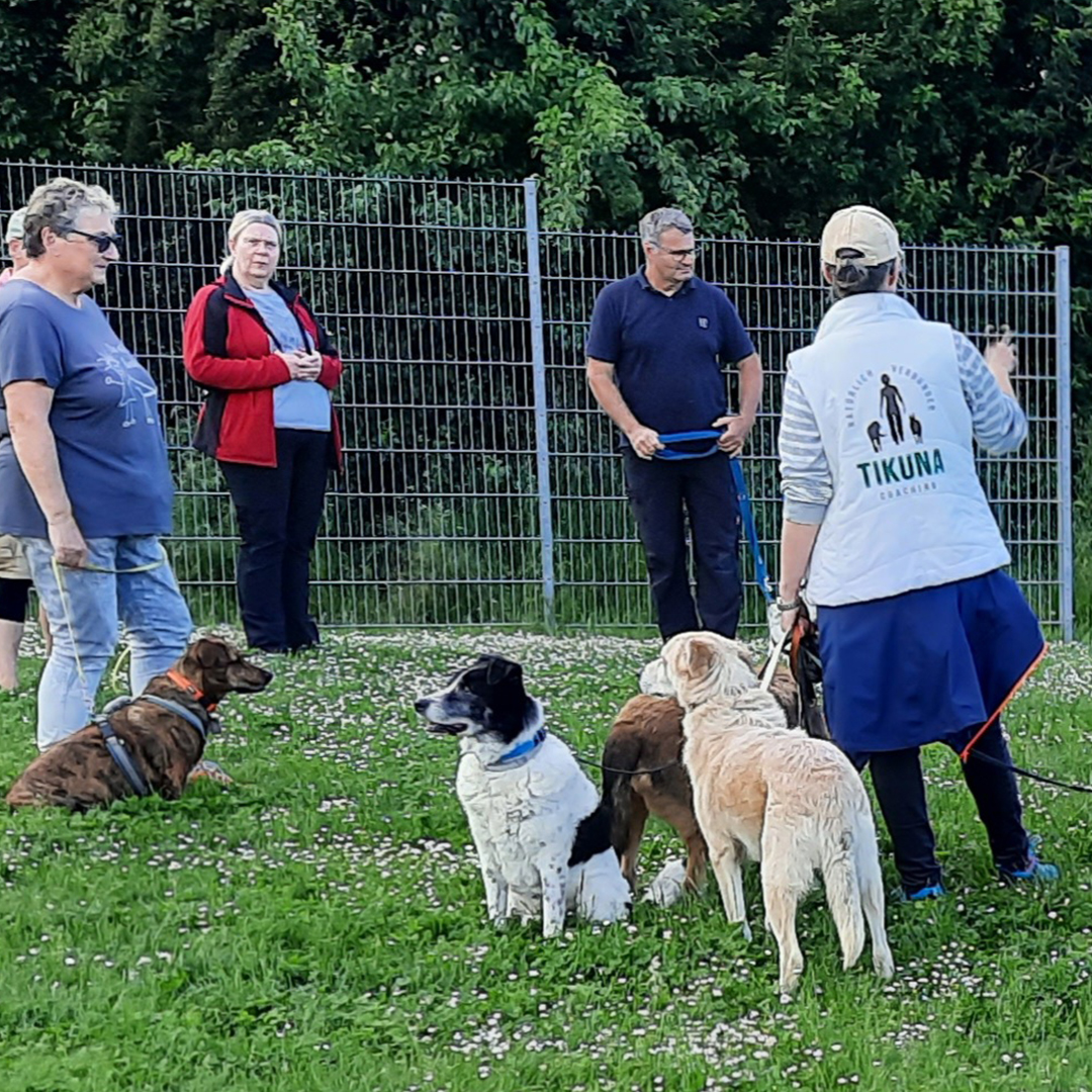 Tikuna Coaching in kleiner Gruppe